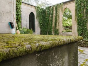 Beton bez mchu po zastosowaniu domowych sposobów